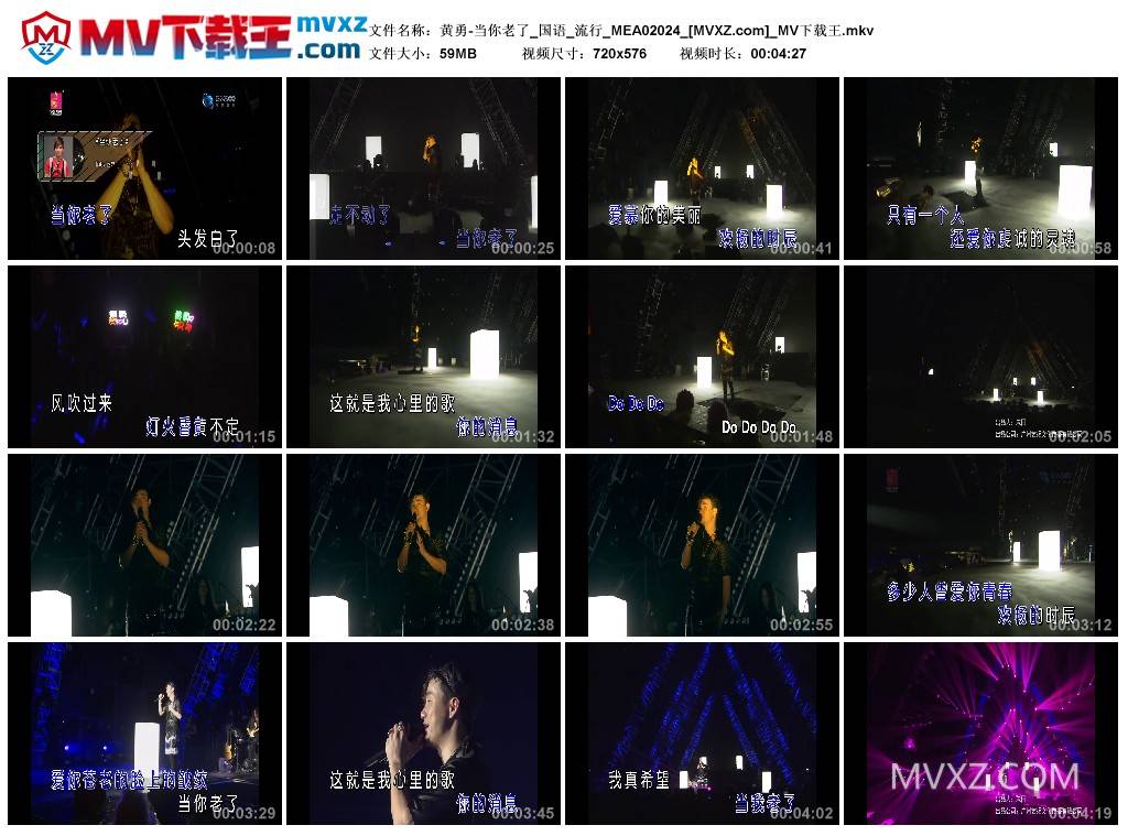 黄勇-当你老了_国语_流行_MEA02024